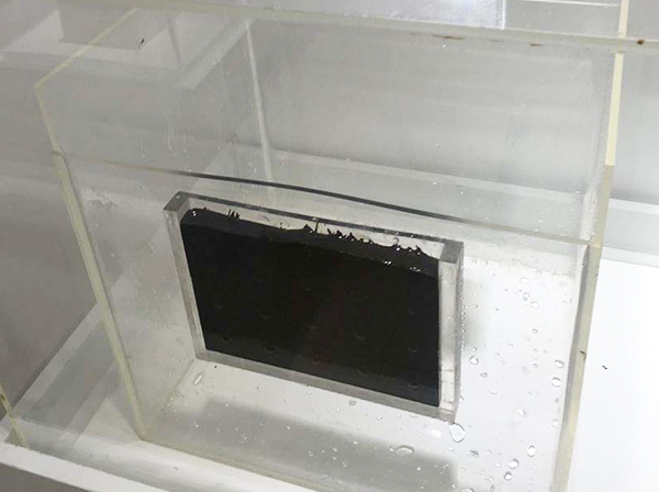 贺州实力卫生间防水价格