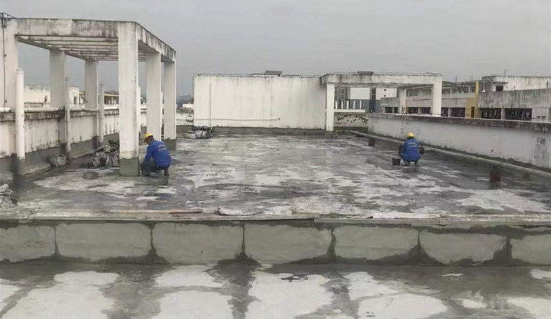 学校学生公寓屋面防水/隔热工程-广西民族师范学校